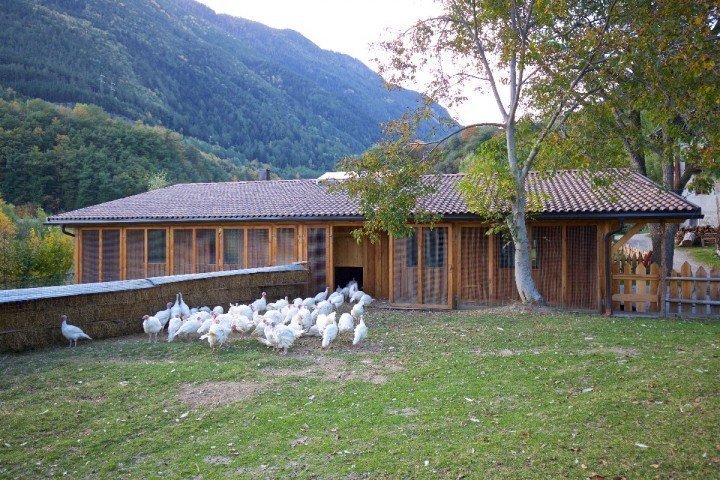 Hintersteurerhof » Wippland